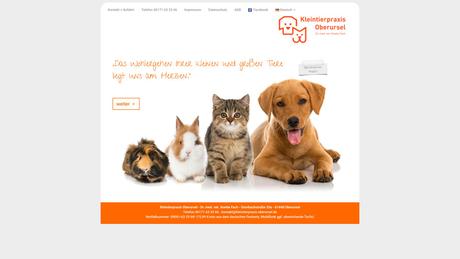 Dr. Anette Fach