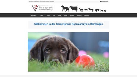 Dr. Anke Kaczmarczyk