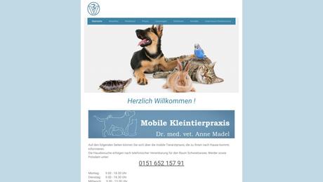 Dr. Anne Madel