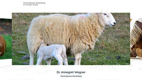Dr. Annegret Wagner