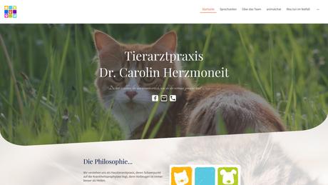 Dr. Carolin Herzmoneit