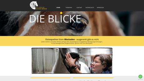 Dr. Caroline Schay-Briem