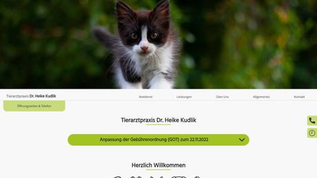 Dr. Heike Kudlik