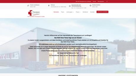 Dr. Katharina Fibbe