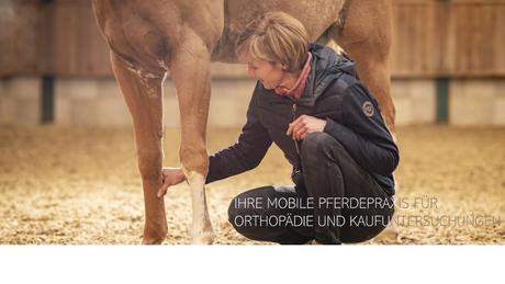 Dr. Tanja Steinbach