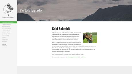 Gabi Schmidt