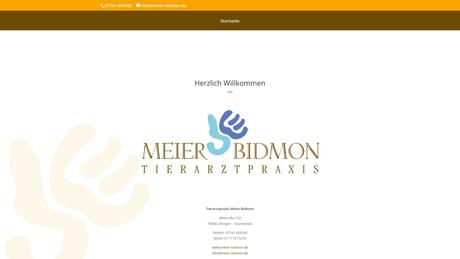 Gesa Meier-Bidmon